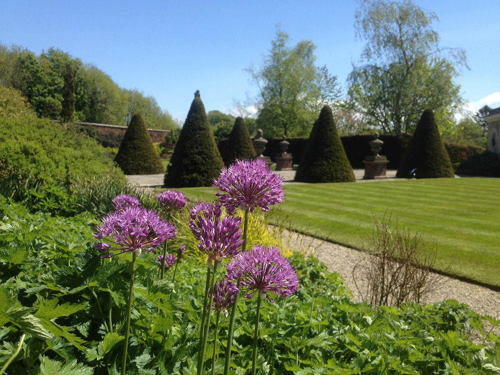 Oakfield Park 2