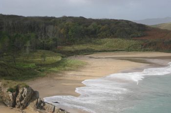 Ards Forest 4 Ards Friary Beach