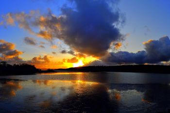 Inch Island 1